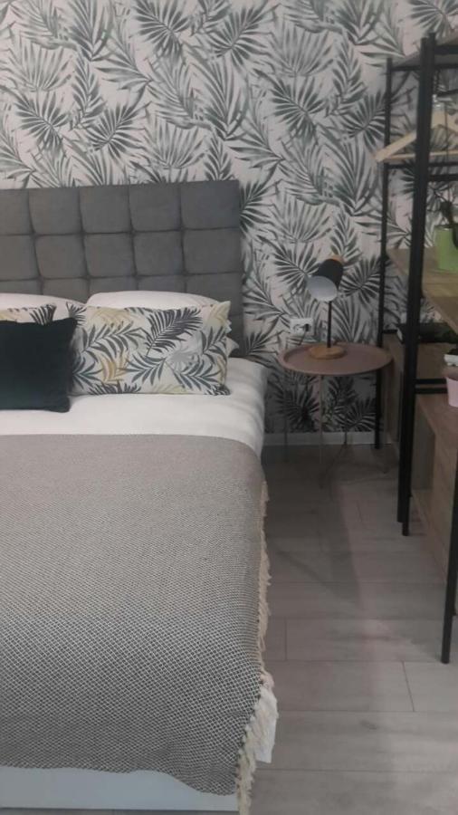 The Cozy Studio, Varna City Centre Exterior foto